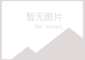 尼勒克县宿命会计有限公司